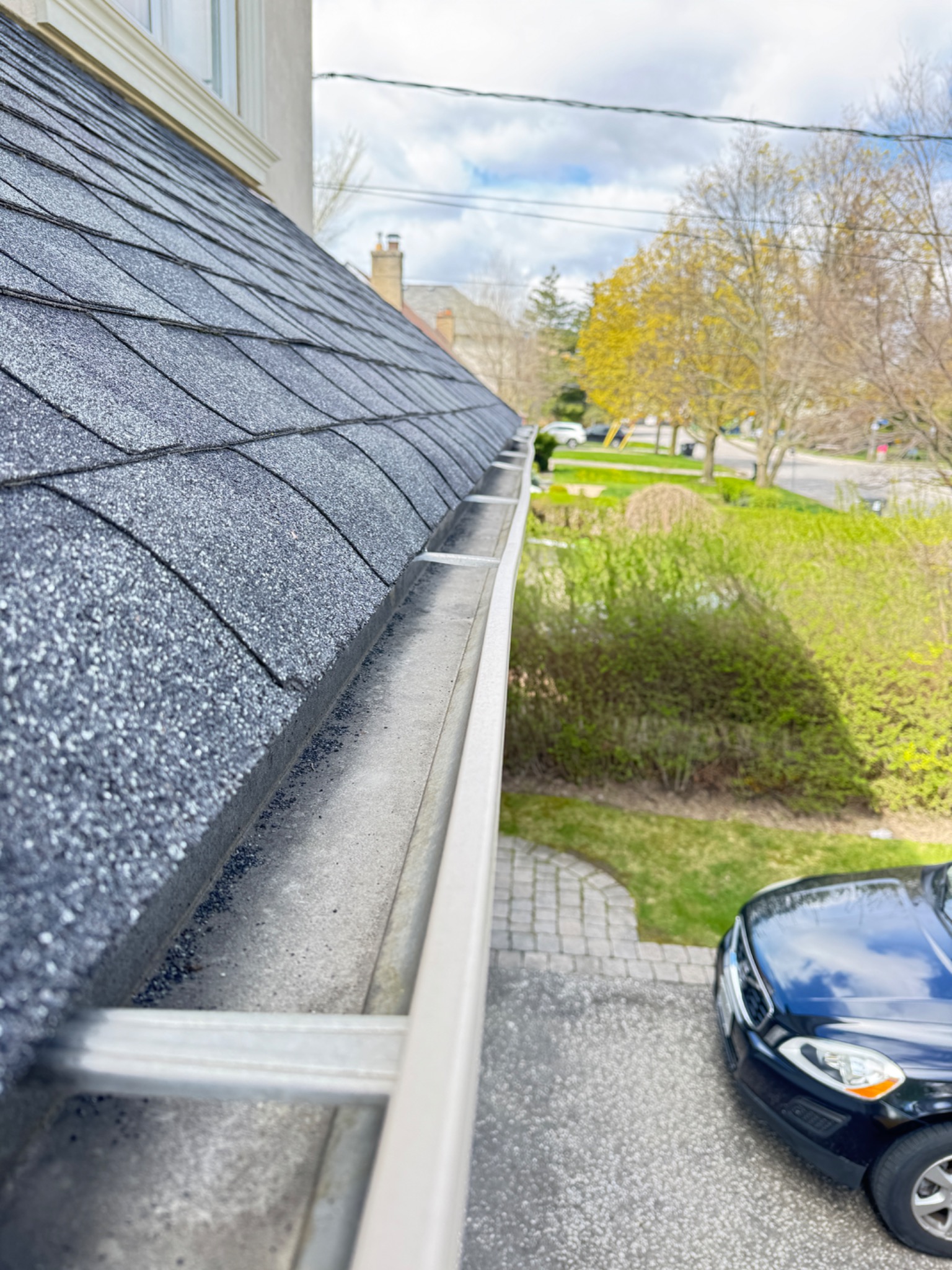 Gutter cleaning